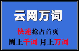 牛推家園 上海SEO優化與網絡推廣外包的優質品牌